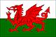 welsh_kirs's Avatar