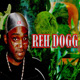 rehdogg's Avatar